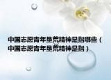 中國志愿青年墾荒精神是指哪些（中國志愿青年墾荒精神是指）