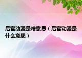 后宮動漫是啥意思（后宮動漫是什么意思）