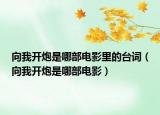 向我開炮是哪部電影里的臺詞（向我開炮是哪部電影）