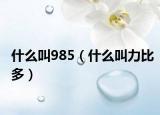 什么叫985（什么叫力比多）