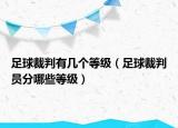 足球裁判有幾個等級（足球裁判員分哪些等級）