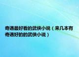 奇遇最好看的武俠小說（來幾本有奇遇好的的武俠小說）