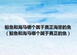 鯨魚(yú)和海馬哪個(gè)屬于真正海里的魚(yú)（鯨魚(yú)和海馬哪個(gè)屬于真正的魚(yú)）