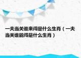 一夫當(dāng)關(guān)誰來闖是什么生肖（一夫當(dāng)關(guān)誰能闖是什么生肖）