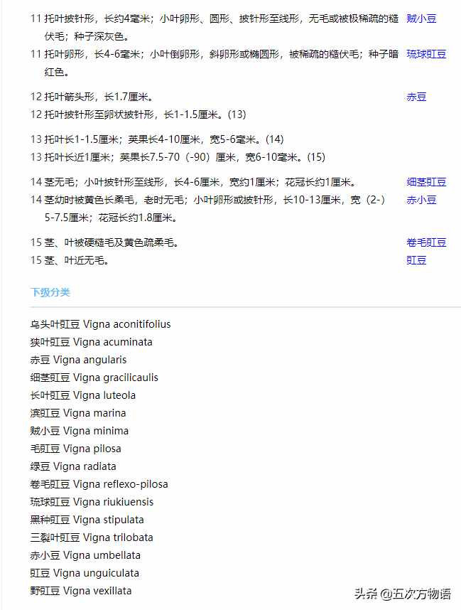 一種“神秘”的豆科植物