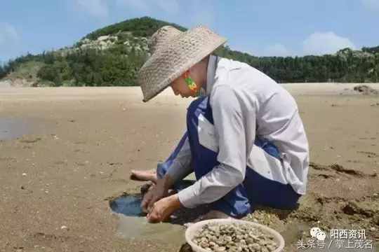 陽(yáng)西大樹(shù)島，碧海藍(lán)天也可以讓你忘記夏季的炎熱
