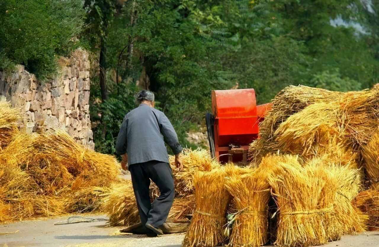 夏至端午前，叉手種田年！今年夏至日期，三伏天具體時(shí)間是多少？