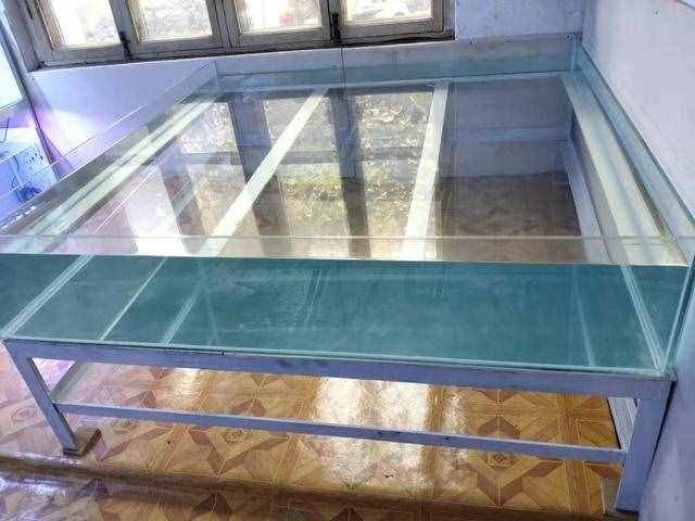 養(yǎng)水之前加入魚樂寶之類的化學(xué)物質(zhì)，對于觀賞魚有無危害？
