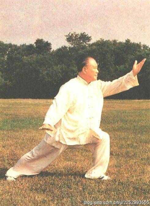 85式傳統(tǒng)太極楊式太極拳動(dòng)作要點(diǎn)