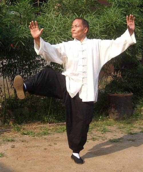 85式傳統(tǒng)太極楊式太極拳動(dòng)作要點(diǎn)
