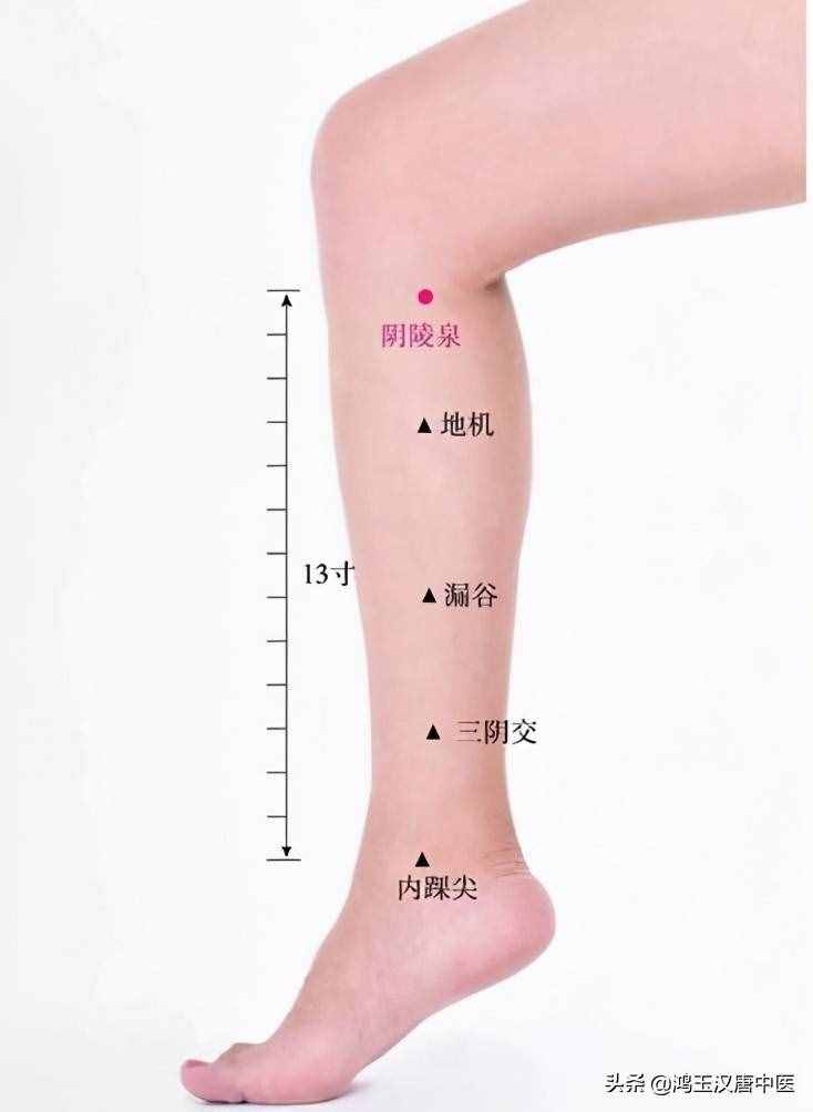 記住陰陵泉這個穴位，可以輕松去除你身上的濕氣