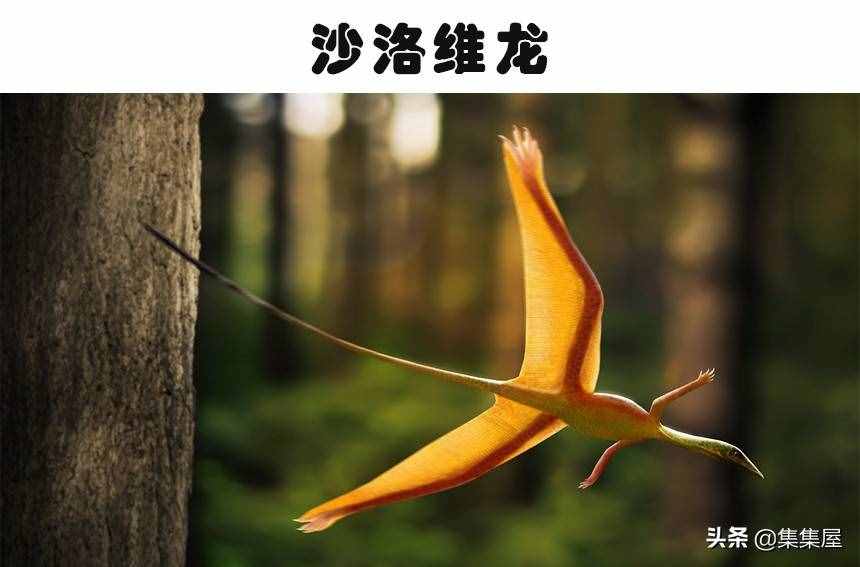 科學(xué)家發(fā)現(xiàn)了有長頸鹿那么高的巨鳥！5個奇怪的史前生物發(fā)現(xiàn)
