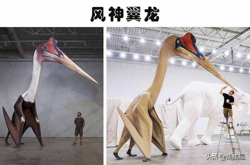 科學(xué)家發(fā)現(xiàn)了有長頸鹿那么高的巨鳥！5個奇怪的史前生物發(fā)現(xiàn)