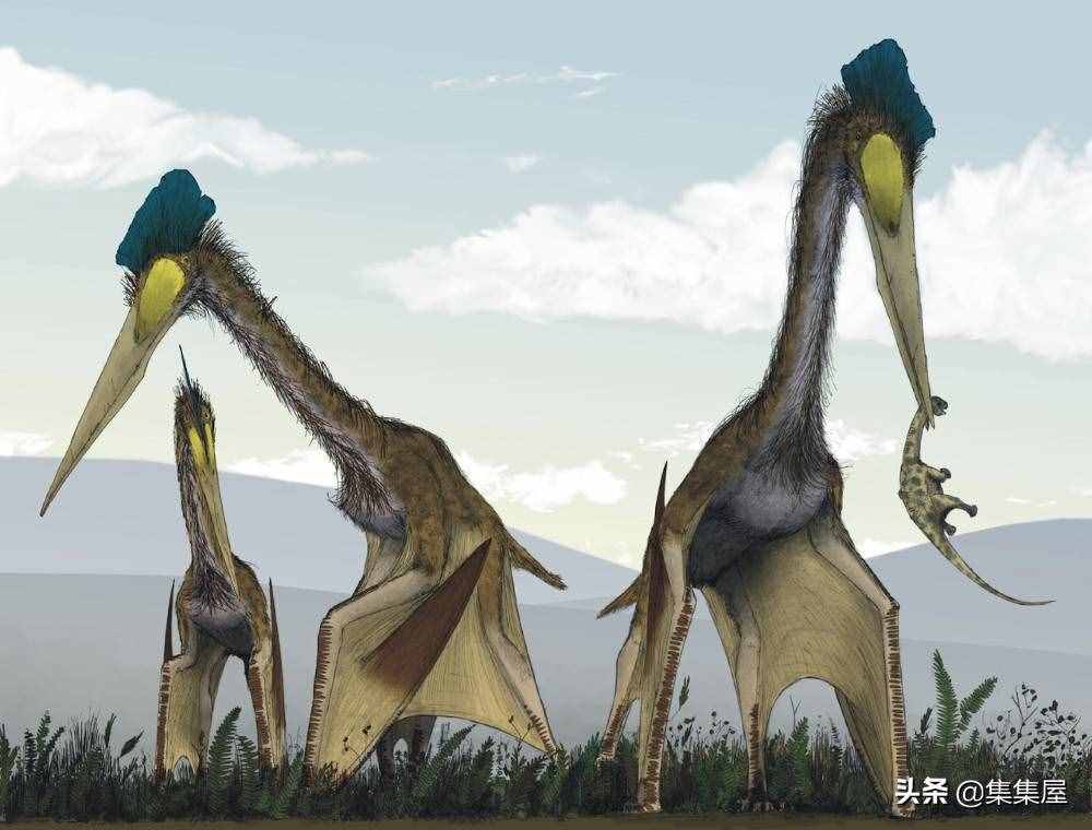 科學(xué)家發(fā)現(xiàn)了有長頸鹿那么高的巨鳥！5個奇怪的史前生物發(fā)現(xiàn)