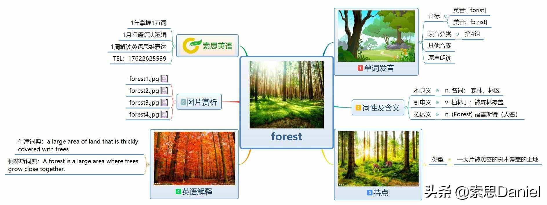 索思英語(yǔ)解碼單詞（第229個(gè)）——forest森林