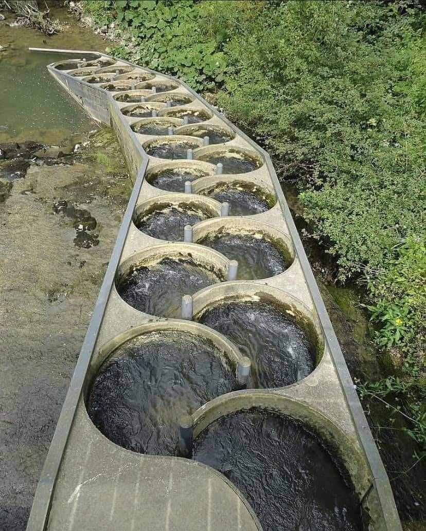 特斯拉100年前發(fā)明了一個閥門，從來沒什么用，可能要派大用場了