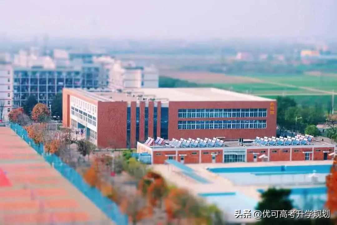 性價比最高的5所985大學(xué)！低于211的分上985，考上就賺大了