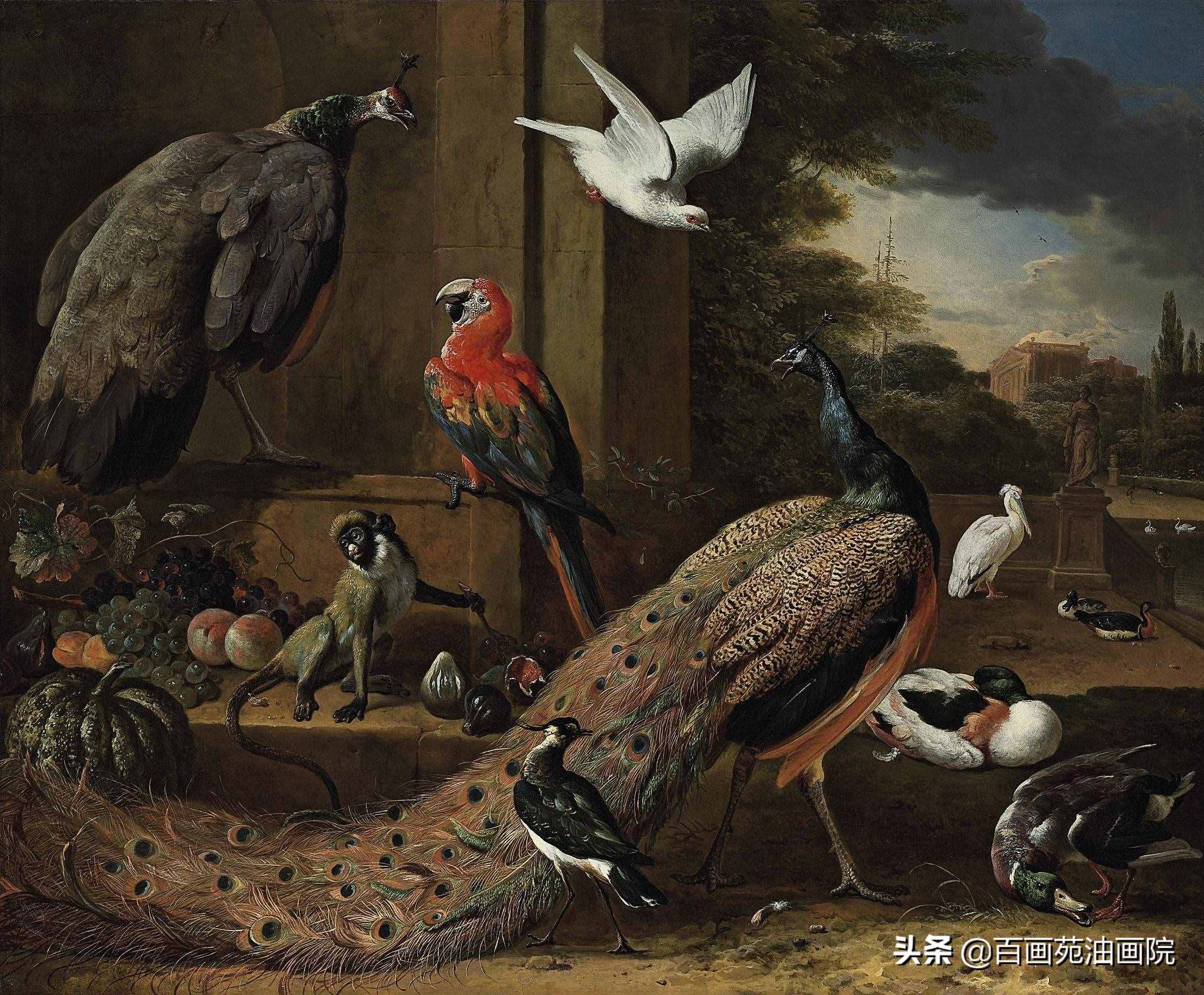 油畫動(dòng)物欣賞——Melchior·d'Hondecoeter