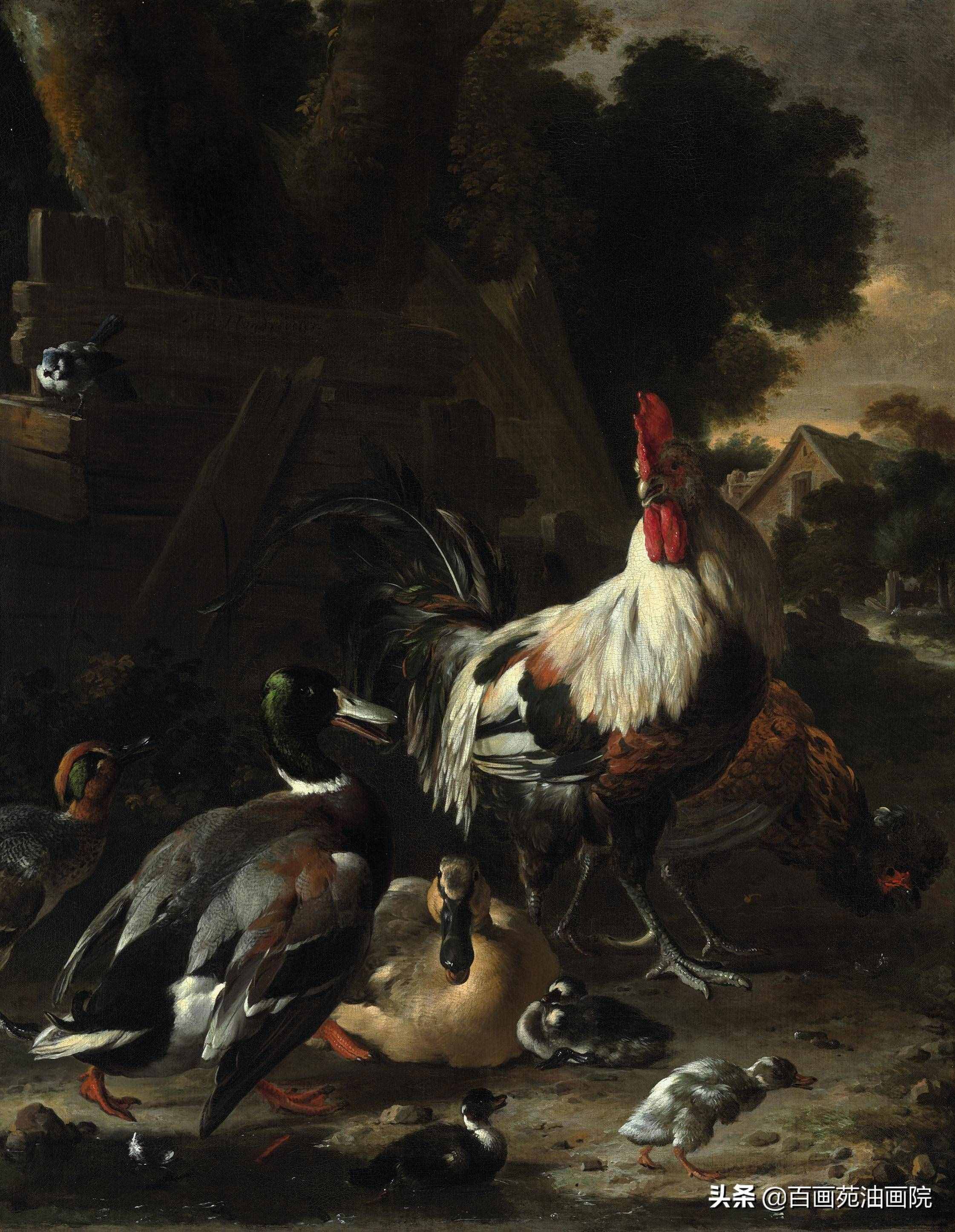 油畫動(dòng)物欣賞——Melchior·d'Hondecoeter