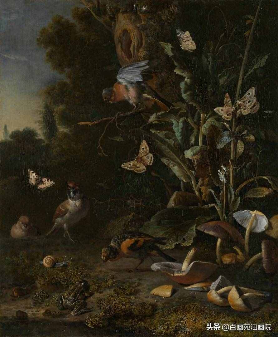 油畫動(dòng)物欣賞——Melchior·d'Hondecoeter