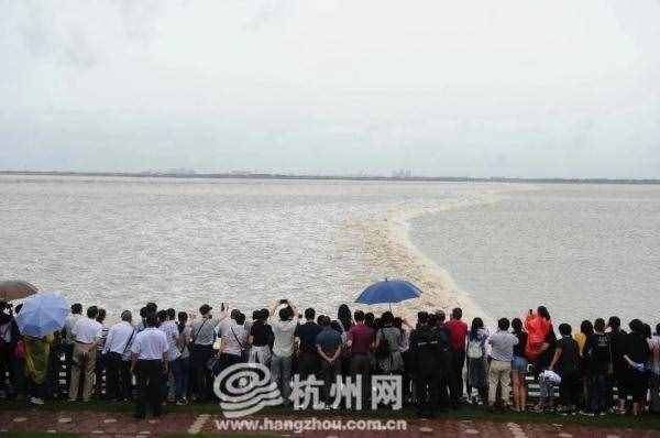 今年八月十八錢(qián)江潮比去年大！最佳觀潮時(shí)間和地點(diǎn)請(qǐng)收好