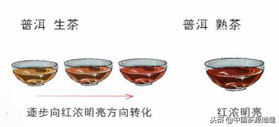 普洱生茶與普洱熟茶的沖泡方法