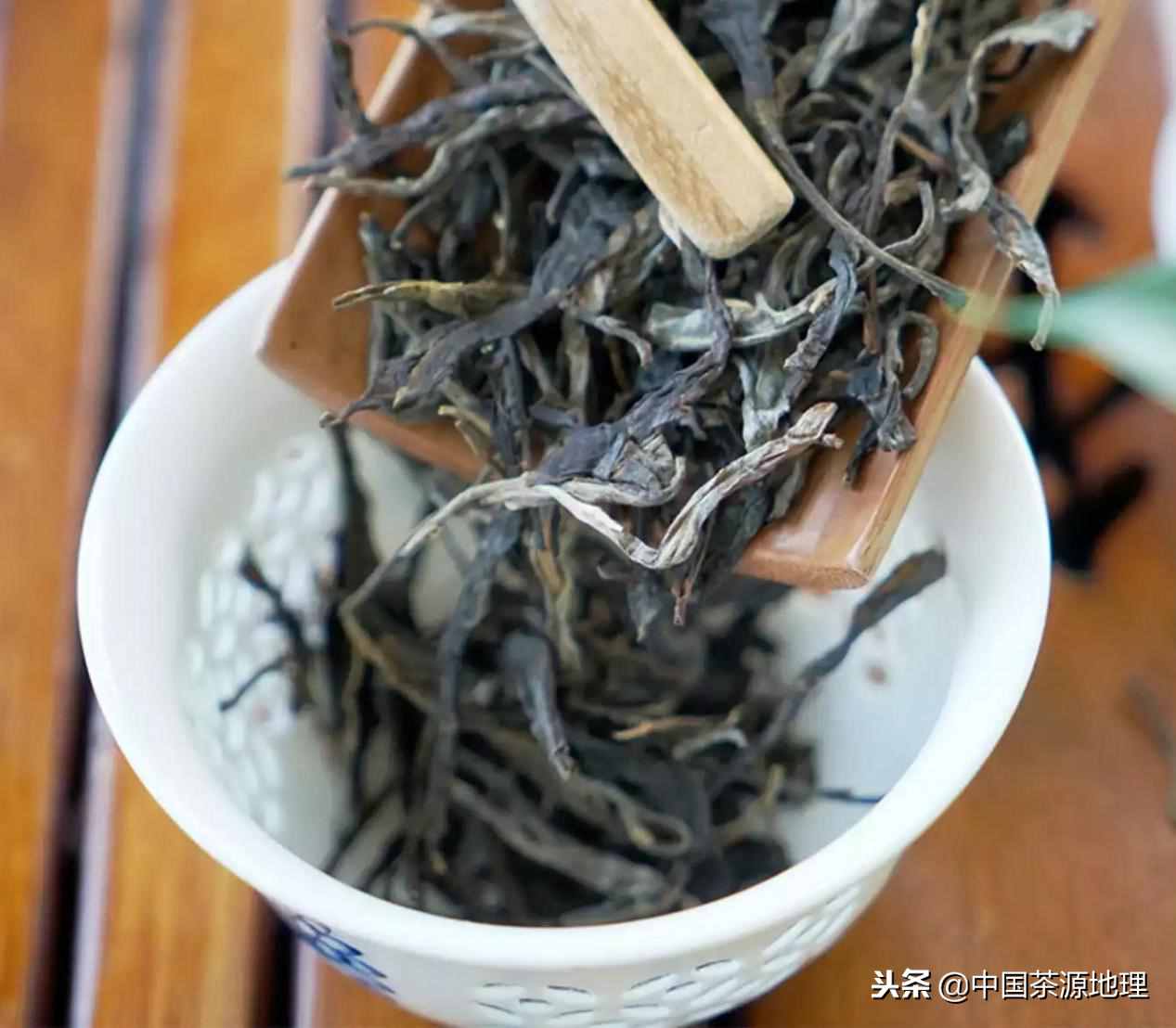 普洱生茶與普洱熟茶的沖泡方法