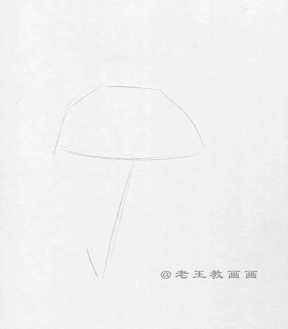 手繪一朵康乃馨，零基礎(chǔ)也能學(xué)會(huì)畫