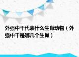 外強中干代表什么生肖動物（外強中干是哪幾個生肖）