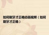 如何刷牙才正確動(dòng)畫(huà)視頻（如何刷牙才正確）