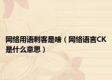 網(wǎng)絡(luò)用語(yǔ)刺客是啥（網(wǎng)絡(luò)語(yǔ)言CK是什么意思）