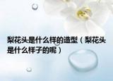 梨花頭是什么樣的造型（梨花頭是什么樣子的呢）