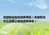 安徽移動查詢話費號碼（安徽移動怎么在網(wǎng)上查詢話費詳單）