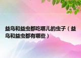 益鳥和益蟲都吃哪兒的蟲子（益鳥和益蟲都有哪些）