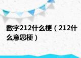 數(shù)字212什么梗（212什么意思梗）