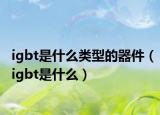 igbt是什么類(lèi)型的器件（igbt是什么）