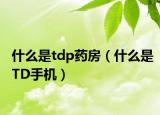 什么是tdp藥房（什么是TD手機）