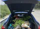 寶馬330i GT車主以獨特的方式展示汽車的實用性