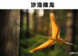 今日更新怪異生物（5個奇怪的史前生物發(fā)現(xiàn)）