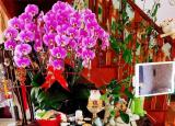 今日更新有趣的靈魂是什么意思(什么樣算是有趣的靈魂)