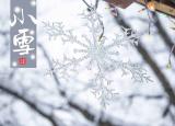 今日更新小雪的節(jié)氣做什么事情（二十四節(jié)氣小雪）