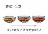 今日更新普洱茶生茶的泡法（普洱生茶與普洱熟茶的沖泡方法）