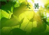 今日更新大暑節(jié)氣吃什么食物（大暑節(jié)氣有哪些傳統(tǒng)食物）