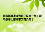 歐陽(yáng)娜娜上康熙來(lái)了是哪一年（歐陽(yáng)娜娜上康熙來(lái)了有幾期）