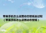 蘋果手機(jī)怎么設(shè)置動態(tài)壁紙全過程（蘋果手機(jī)怎么設(shè)置動態(tài)壁紙）