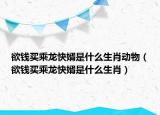 欲錢買乘龍快婿是什么生肖動(dòng)物（欲錢買乘龍快婿是什么生肖）
