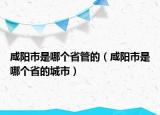 咸陽市是哪個(gè)省管的（咸陽市是哪個(gè)省的城市）