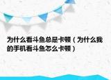 為什么看斗魚(yú)總是卡頓（為什么我的手機(jī)看斗魚(yú)怎么卡頓）