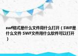 swf格式是什么文件用什么打開（SWF是什么文件 SWF文件用什么軟件可以打開）