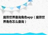 魔獸世界查詢角色app（魔獸世界角色怎么查詢）